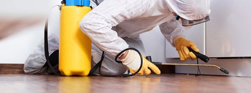 pest-control-peterborough